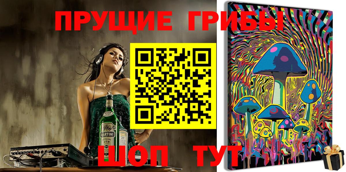 Анжеро-Судженск  Псилоцибиновые грибы ЛСД  Вход с VPN 